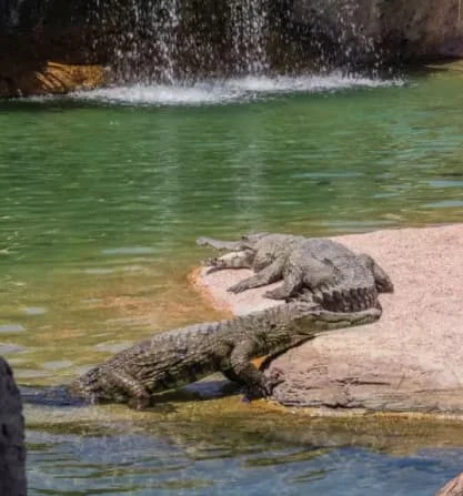 republic day offers of resorts