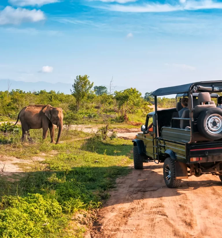 best resorts for new year celebration