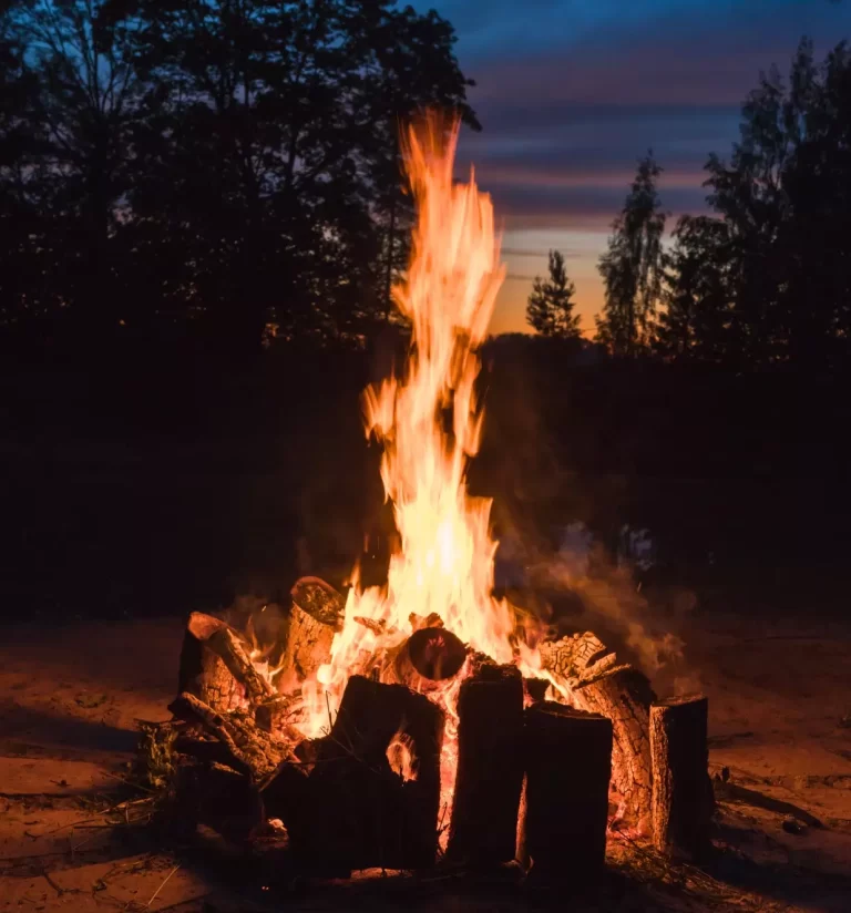 luxury jim corbett resort