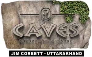 Best resort in Uttarakhand