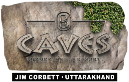 Best Resort in Jim Corbett , 5 Star Resort in Jim Corbett , Luxury Resort in Jim Corbett , Bellmont Caves