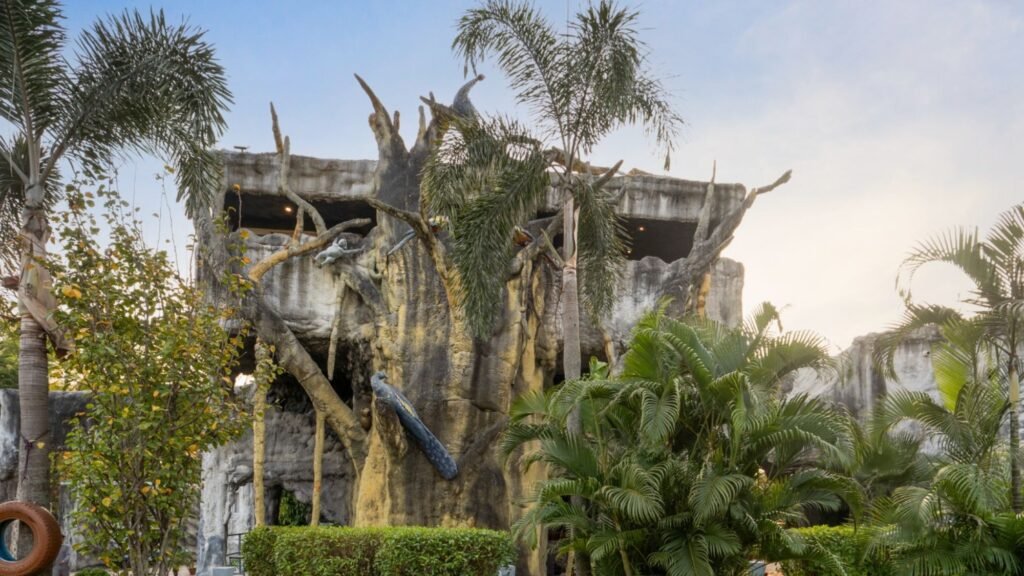 Family Tree Cave Room Bellmont