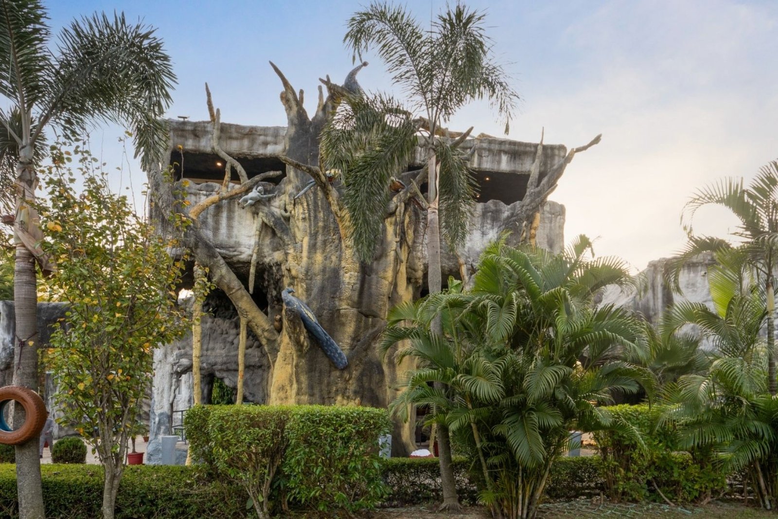 Family Tree Cave Room Bellmont